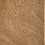 Gold maple